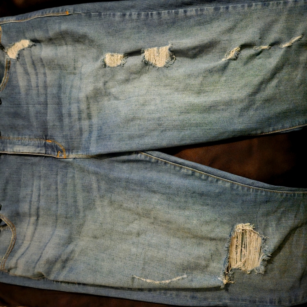 Torrid Premium fit jeans